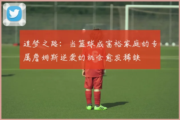 追梦之路：当篮球成富裕家庭的专属詹姆斯逆袭的机会愈发稀缺