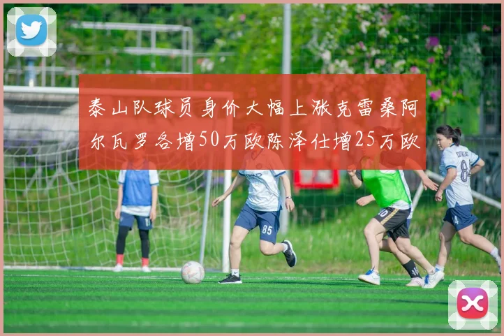泰山队球员身价大幅上涨克雷桑阿尔瓦罗各增50万欧陈泽仕增25万欧